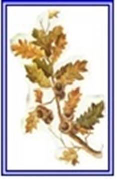 Immagine che contiene clipart

Descrizione generata automaticamente